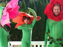 mester grønn reklame mester grønn reklame