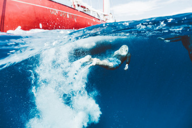 Dodo Jewlery Dodo Jewlery