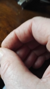 handbild2