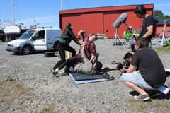 Fight-scene, Flaugstad Fight-scene, Flaugstad