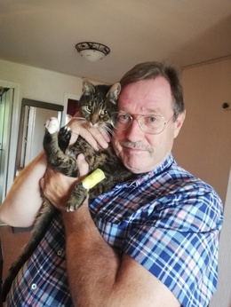 Kattmannen Kattmannen