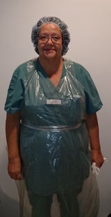 Ögon blå Ögon blå