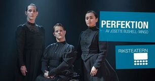 Perfektion Perfektion