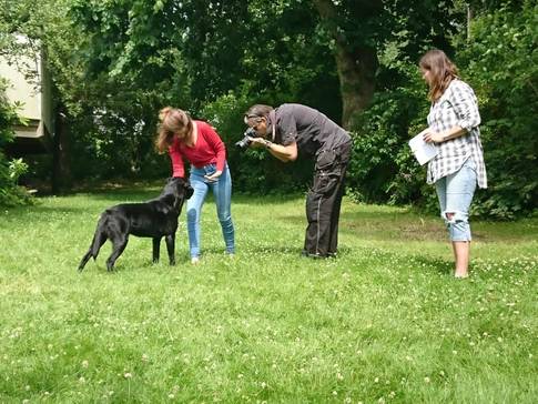 HundKul fotografering