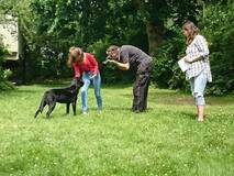 HundKul fotografering