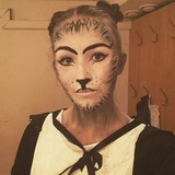Jellicle katterna Jellicle katterna
