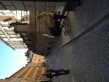 Blomstrande Linnea Blomstrande Linnea