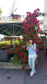 Bavaria Film 2016 Bavaria Film 2016