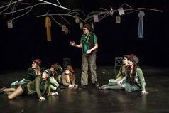 7 nyanser av Peter Pan