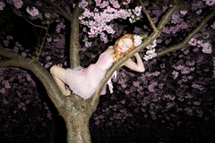 Portfolio Shoot Portfolio Shoot