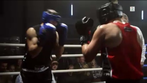 Hotel Cæsar Hotel Cæsar