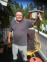 Landet 2020 Landet 2020