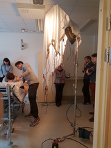 Umeå Universitet Umeå Universitet