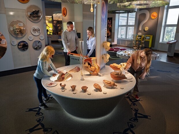 Reklam fr Naturhistoriska Riksmuseet