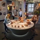 Reklam för Naturhistoriska Riksmuseet Reklam för Naturhistoriska Riksmuseet