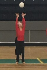 Idla Uppvisning Idla Uppvisning