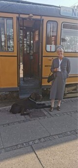 På set med egen hund På set med egen hund