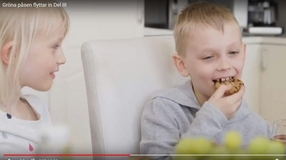 -18 Gröna påsen -18 Gröna påsen