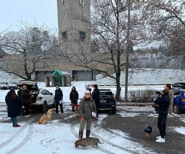 Hund och hans ägare