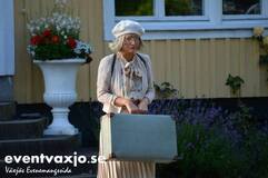 Vita hästen Vita hästen