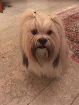 Min King