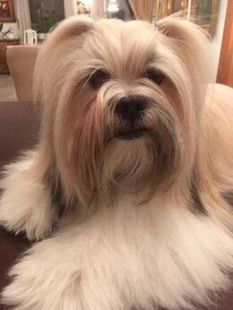Min King