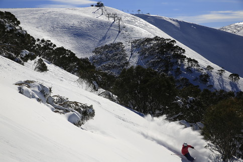 Ski Modelling