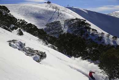 Ski Modelling Ski Modelling