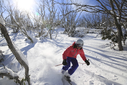 Ski Modelling