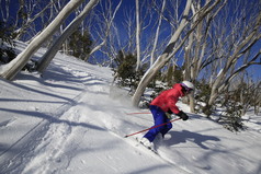 Ski Modelling
