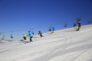 Ski Modelling Ski Modelling