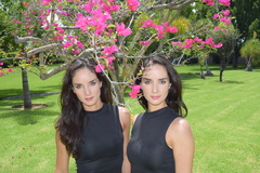 TVILLINGAR TVILLINGAR