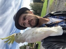 Kjrlighet ved frste blikk