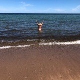 När jag kysser havet När jag kysser havet