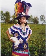 Folkdräkt Folkdräkt