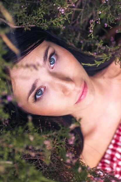 Modell fr Butterfly Culture