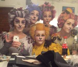 Cats Cats