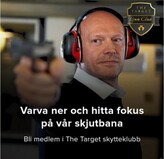 The Target The Target