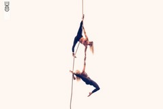Performance