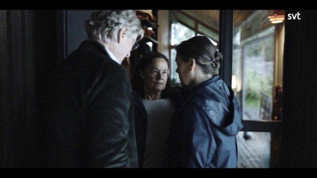 Dansk serie