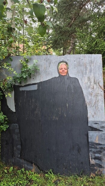 Lite Bergman Lite Bergman