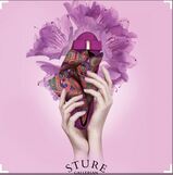 Sturegallerian Sturegallerian