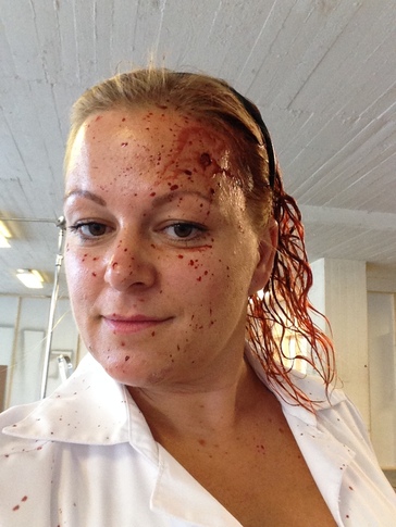 Arne Dahl (2015) Arne Dahl (2015)