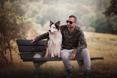 Hund reklam Hund reklam