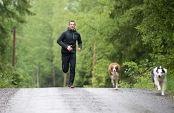 Kläd  reklam Kläd  reklam