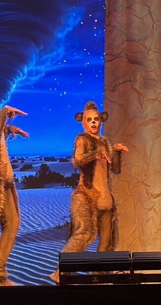 Meerkat på Aladdin the Musikal