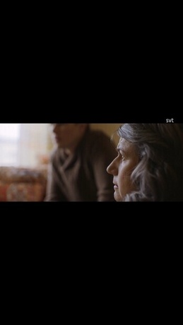 Historien om Sverige