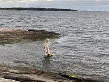 Bläckfisk kortfilm Bläckfisk kortfilm