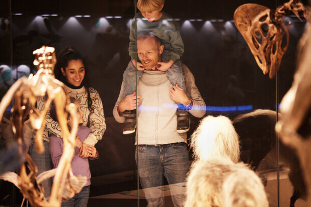 Foto til National Museum