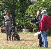 Pax jordiska ventyr 2014